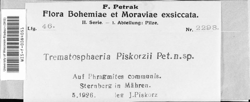 Trematosphaeria piskorzii image