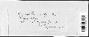 Uromyces dactylidis image