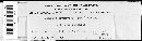 Ustilago bullata image