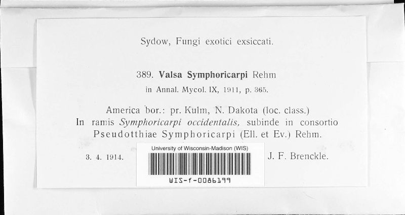 Valsa symphoricarpi image
